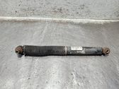 Rear shock absorber/damper