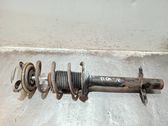 Front shock absorber with coil spring