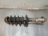 Amortiguador delantero con muelle espiral
