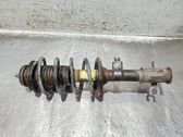 Amortiguador delantero con muelle espiral