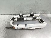 Airbag de la puerta delantera