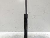 Tailgate/trunk strut/damper