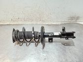 Front shock absorber with coil spring