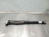 Rear shock absorber/damper
