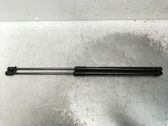 Tailgate/trunk strut/damper