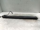 Tailgate/trunk strut/damper