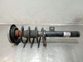 Front shock absorber with coil spring