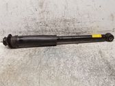 Rear shock absorber/damper