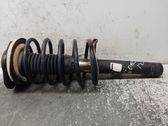Amortiguador delantero con muelle espiral