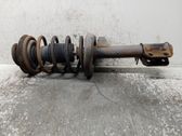 Front shock absorber with coil spring