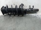 Front shock absorber with coil spring