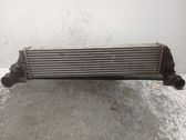 Intercooler radiator
