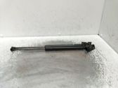 Tailgate/trunk strut/damper