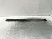 Front bonnet/hood damper/strut