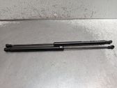 Tailgate/trunk strut/damper