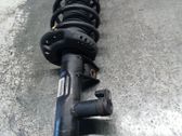 Front shock absorber with coil spring