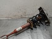 Amortiguador delantero con muelle espiral