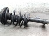 Amortiguador delantero con muelle espiral