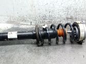 Front shock absorber with coil spring