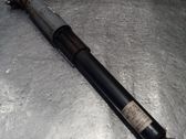 Rear shock absorber/damper