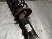 Front shock absorber with coil spring