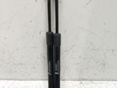 Tailgate/trunk strut/damper
