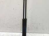 Tailgate/trunk strut/damper