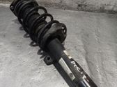 Amortiguador delantero con muelle espiral