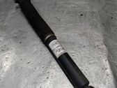 Rear shock absorber/damper