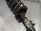 Amortiguador delantero con muelle espiral