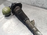 Stoßdämpfer Federbein