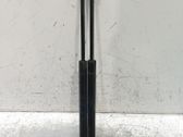 Tailgate/trunk strut/damper