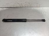 Tailgate/trunk strut/damper