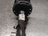 Front shock absorber with coil spring