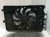 Electric radiator cooling fan
