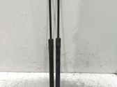 Tailgate/trunk strut/damper