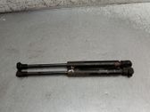 Tailgate/trunk strut/damper