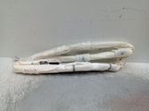 Front door airbag