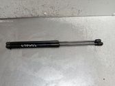 Tailgate/trunk strut/damper