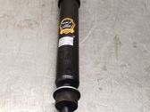 Front shock absorber with coil spring