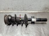 Front shock absorber with coil spring