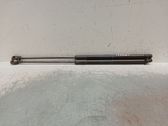 Tailgate/trunk strut/damper
