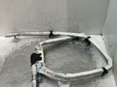Airbag de la puerta delantera