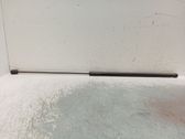 Front bonnet/hood damper/strut