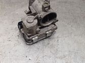 Throttle body valve