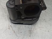 Throttle body valve