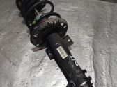 Front shock absorber with coil spring