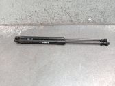 Front bonnet/hood damper/strut