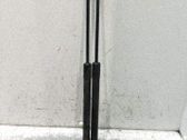 Tailgate/trunk strut/damper