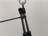 Tailgate/trunk strut/damper